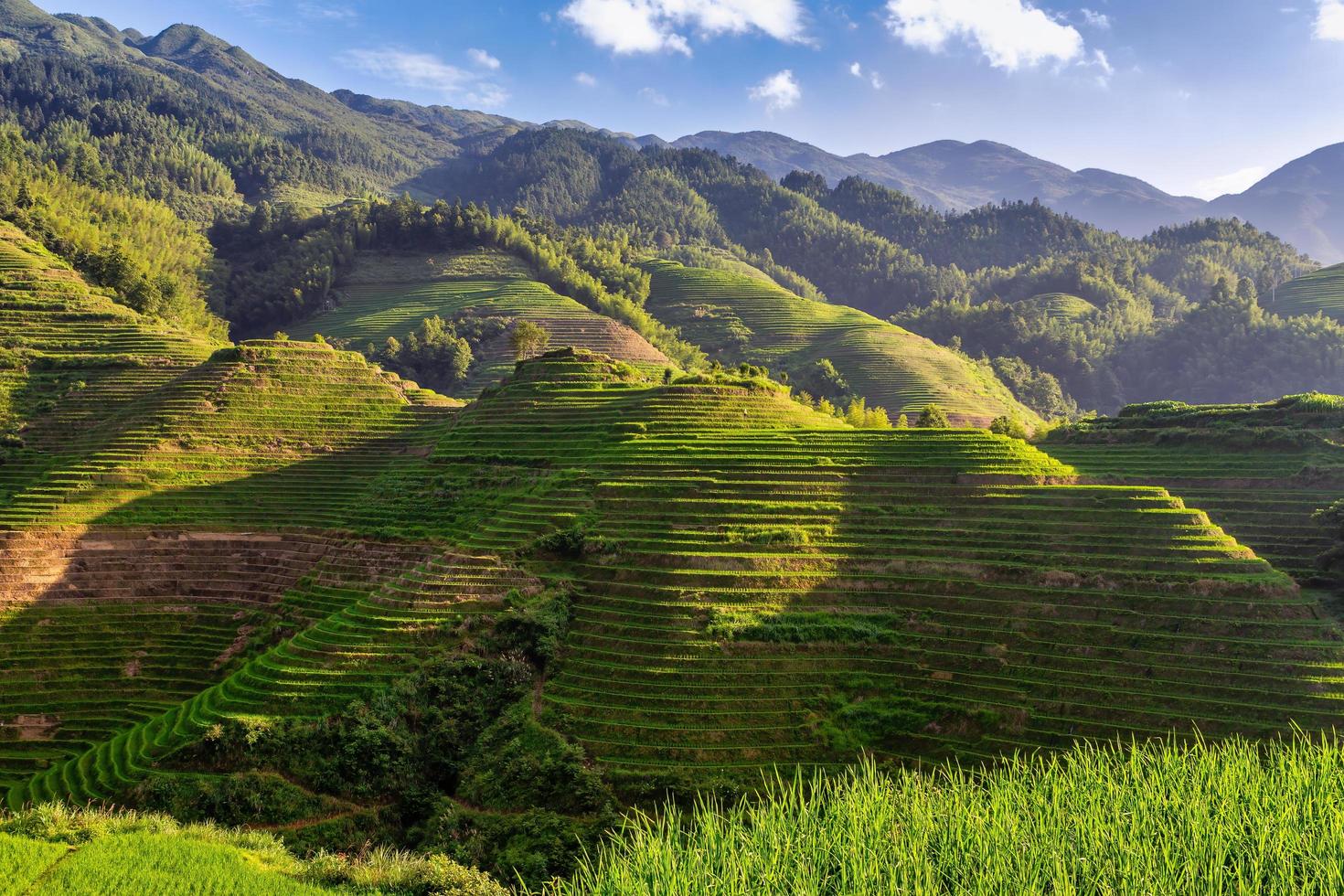 Campos de arroz en terrazas en Longsheng, China foto