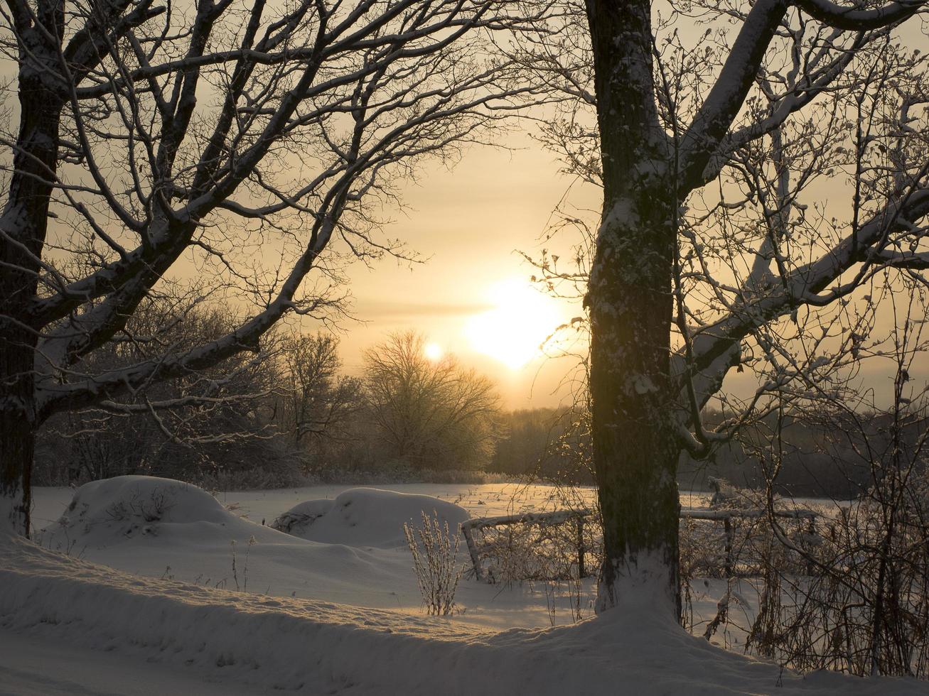 Simplicity of a rural landscape photo