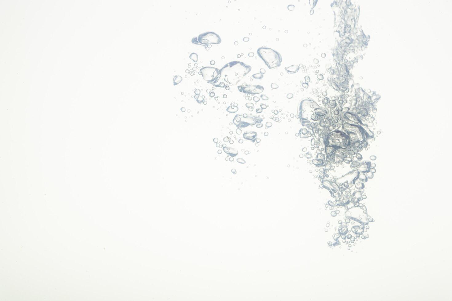 Bubbles in the water photo