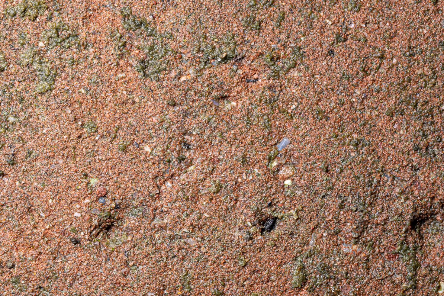 Old red cement background photo
