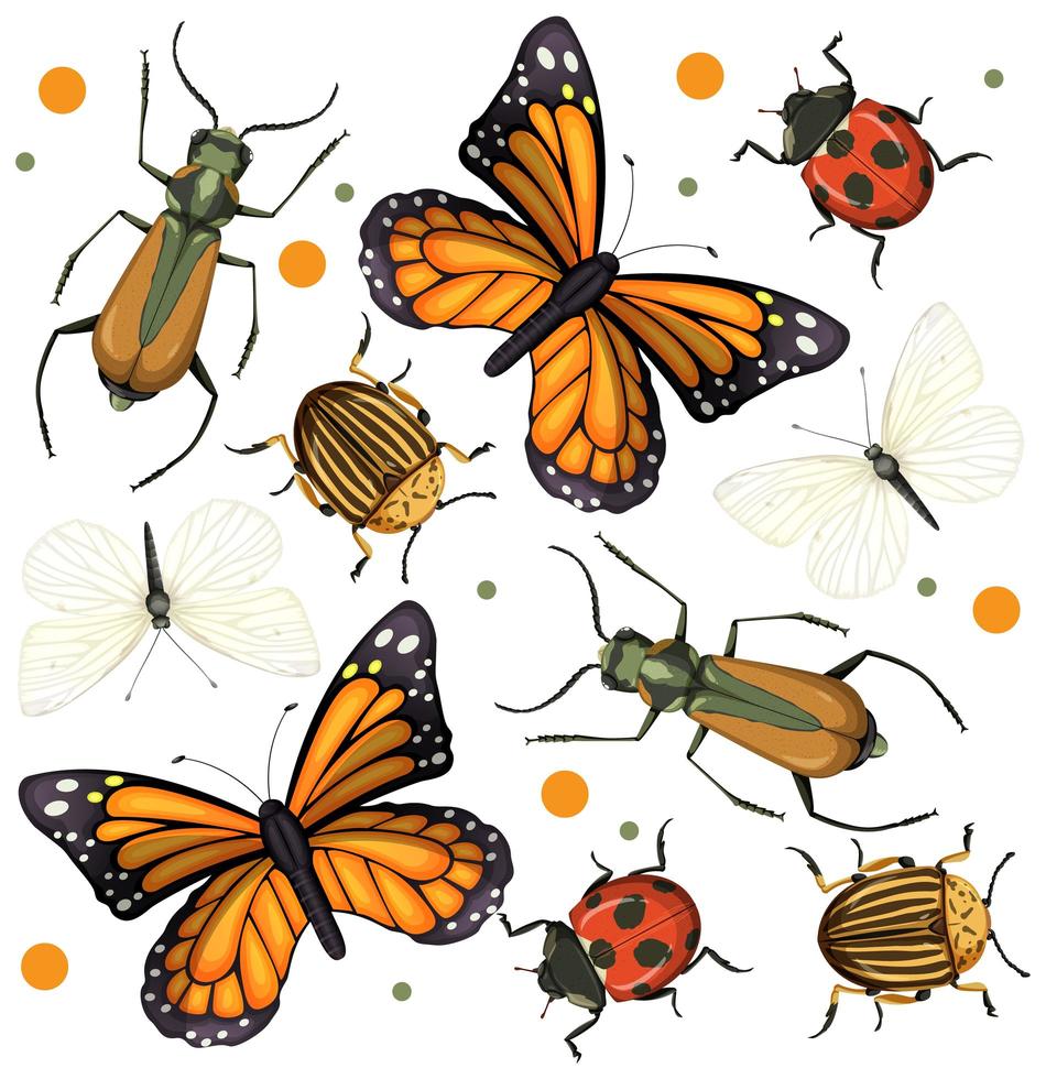 Set of different bugs and insects vector