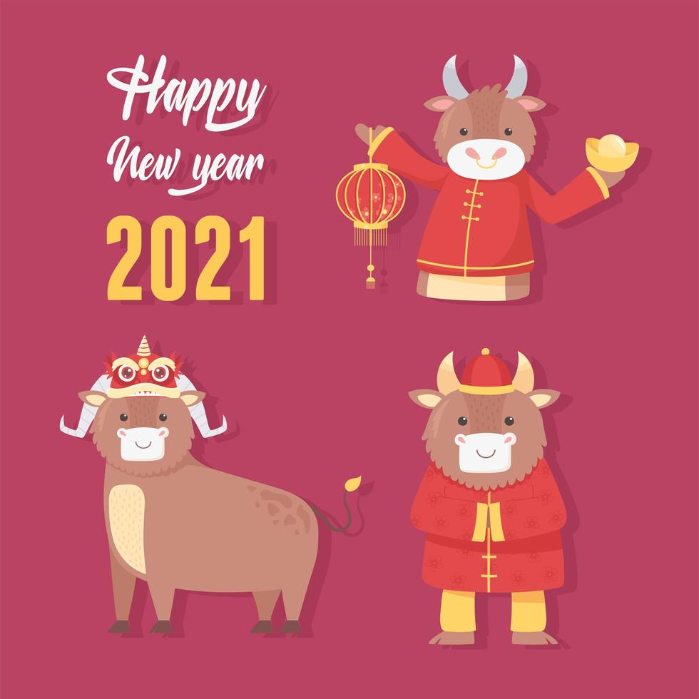 Chinese New Year of the ox icon set vector