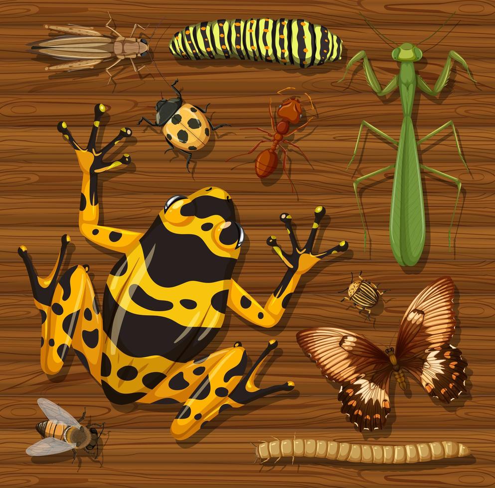 Set of different insects and creatures on background vector