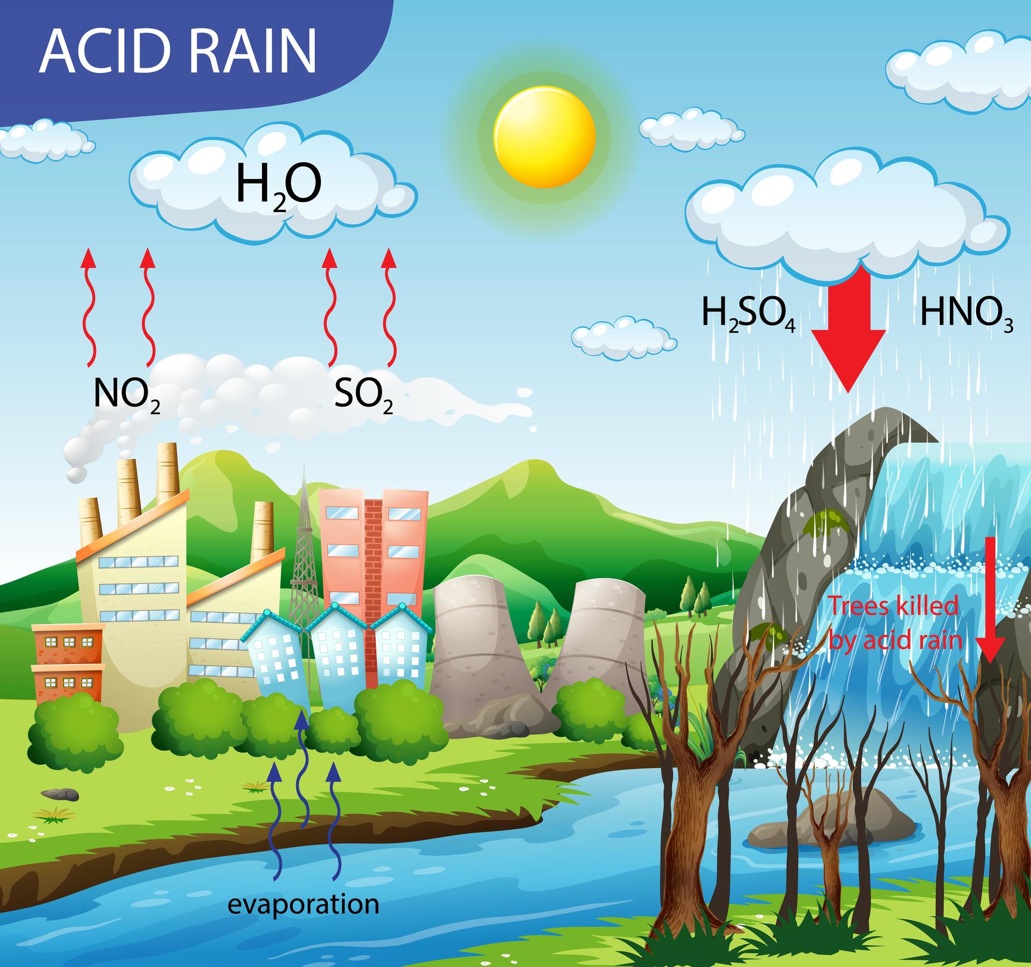 Diagram showing acid rain pathway 1424867 Vector Art at Vecteezy