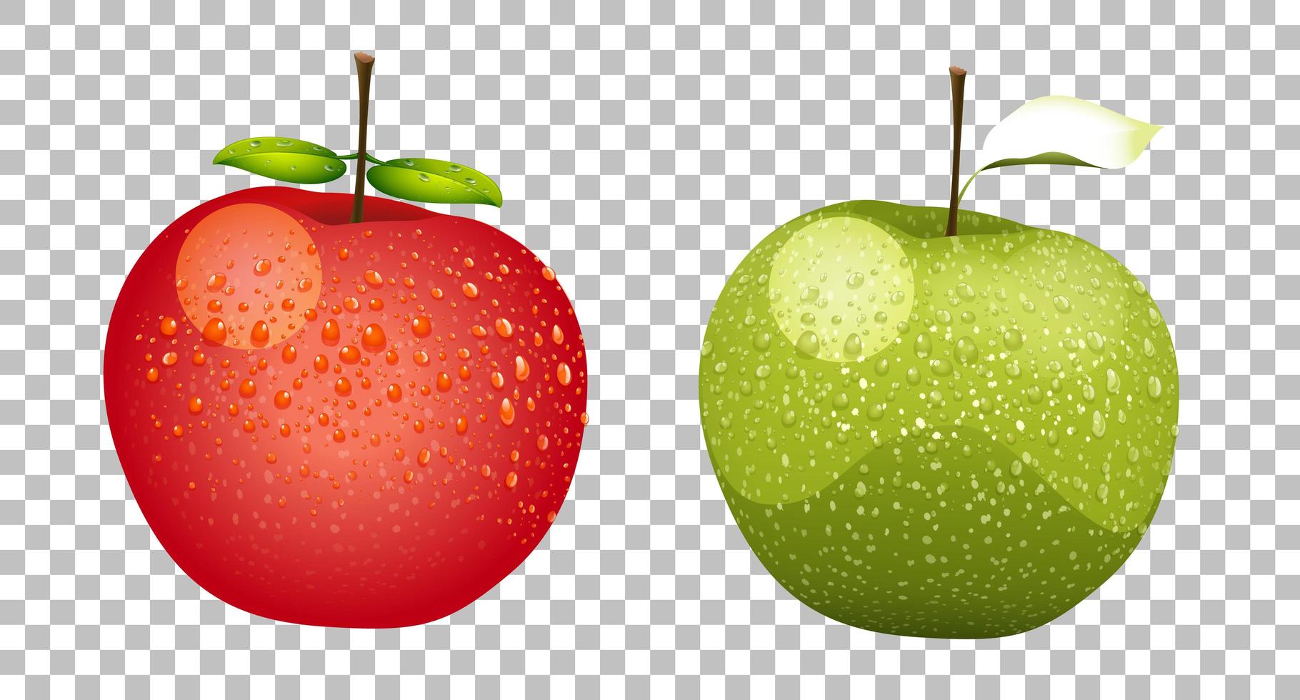 manzanas verdes y rojas vector