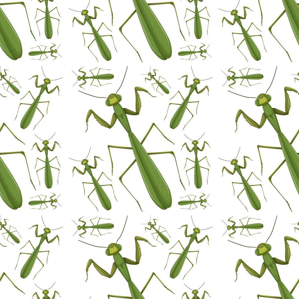 Praying mantis on seamless background vector