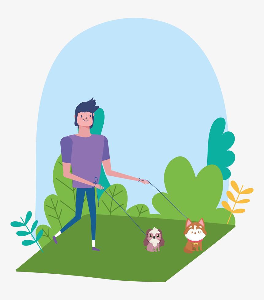 Young man walking dogs outdoors vector