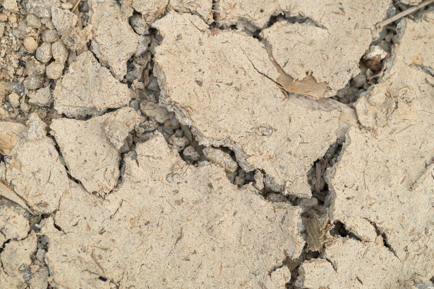 Dry soil close-up photo