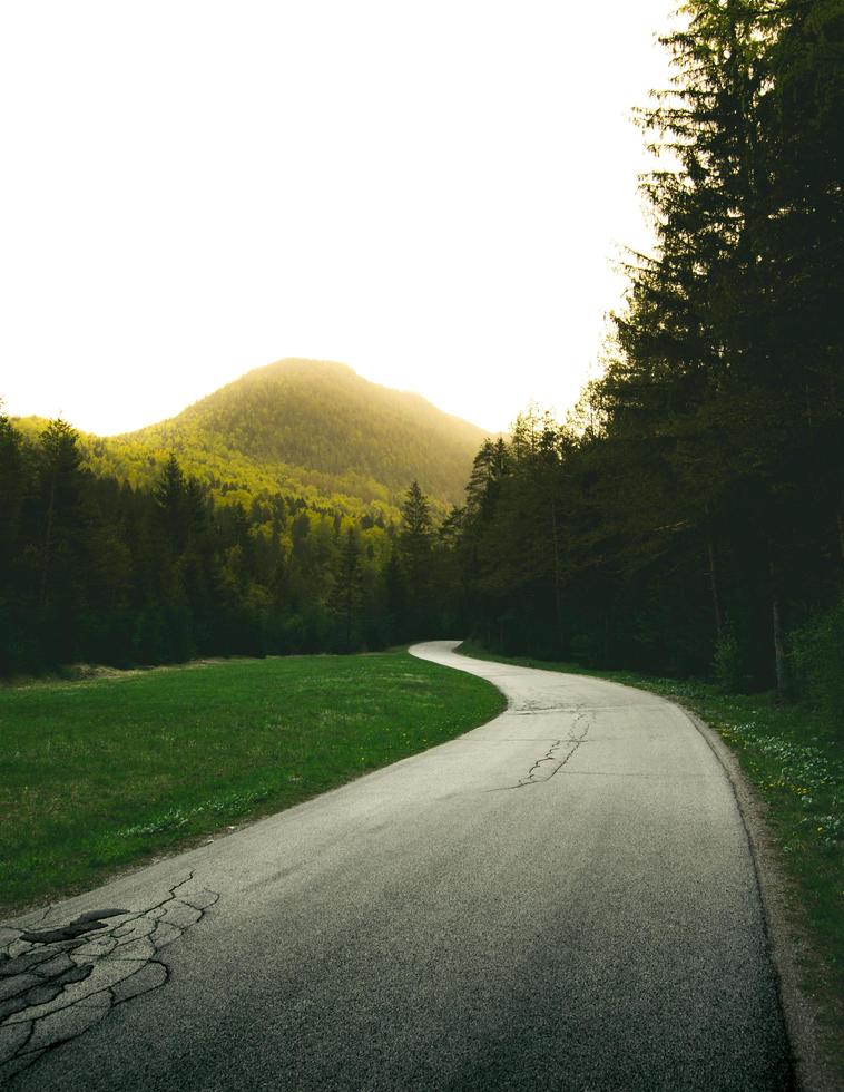 Concrete spiral road surrounded with tall and green trees photo