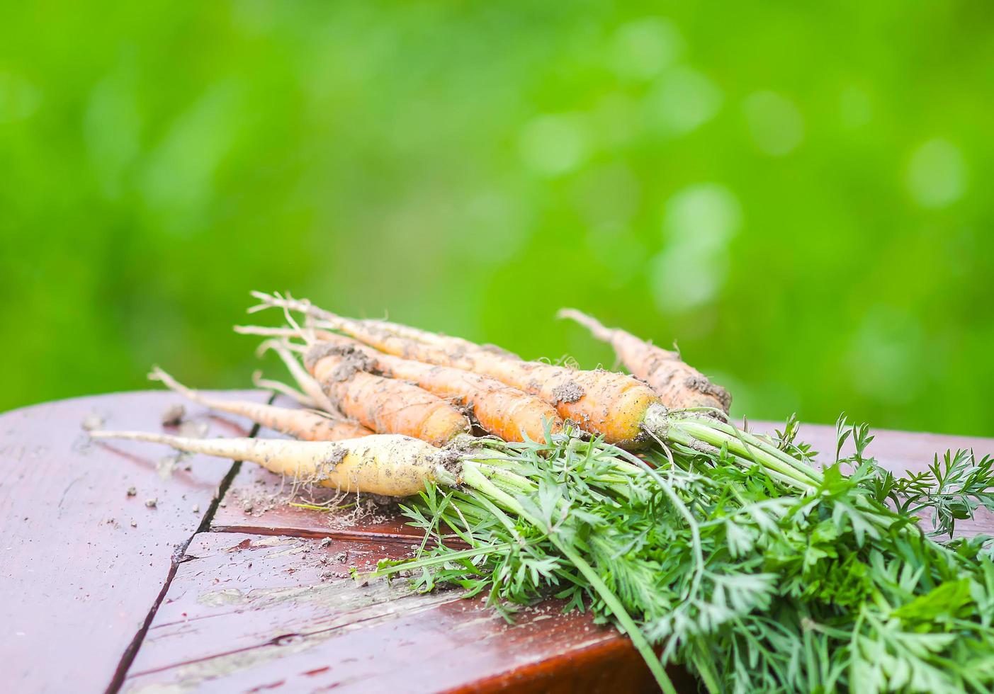 zanahorias en mesa de madera foto