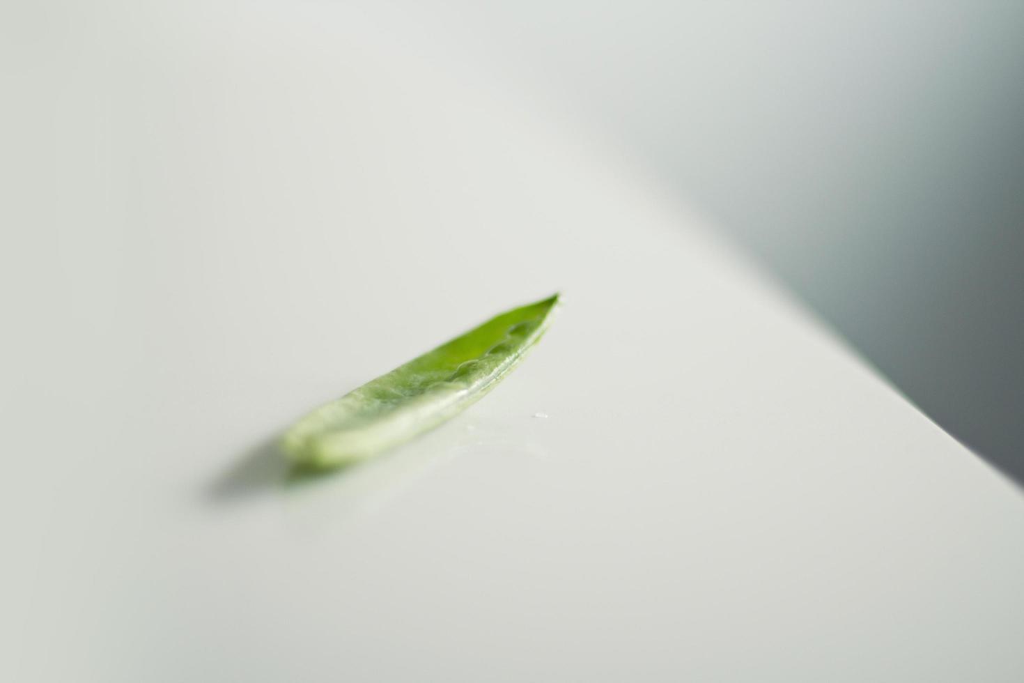 una judía verde foto