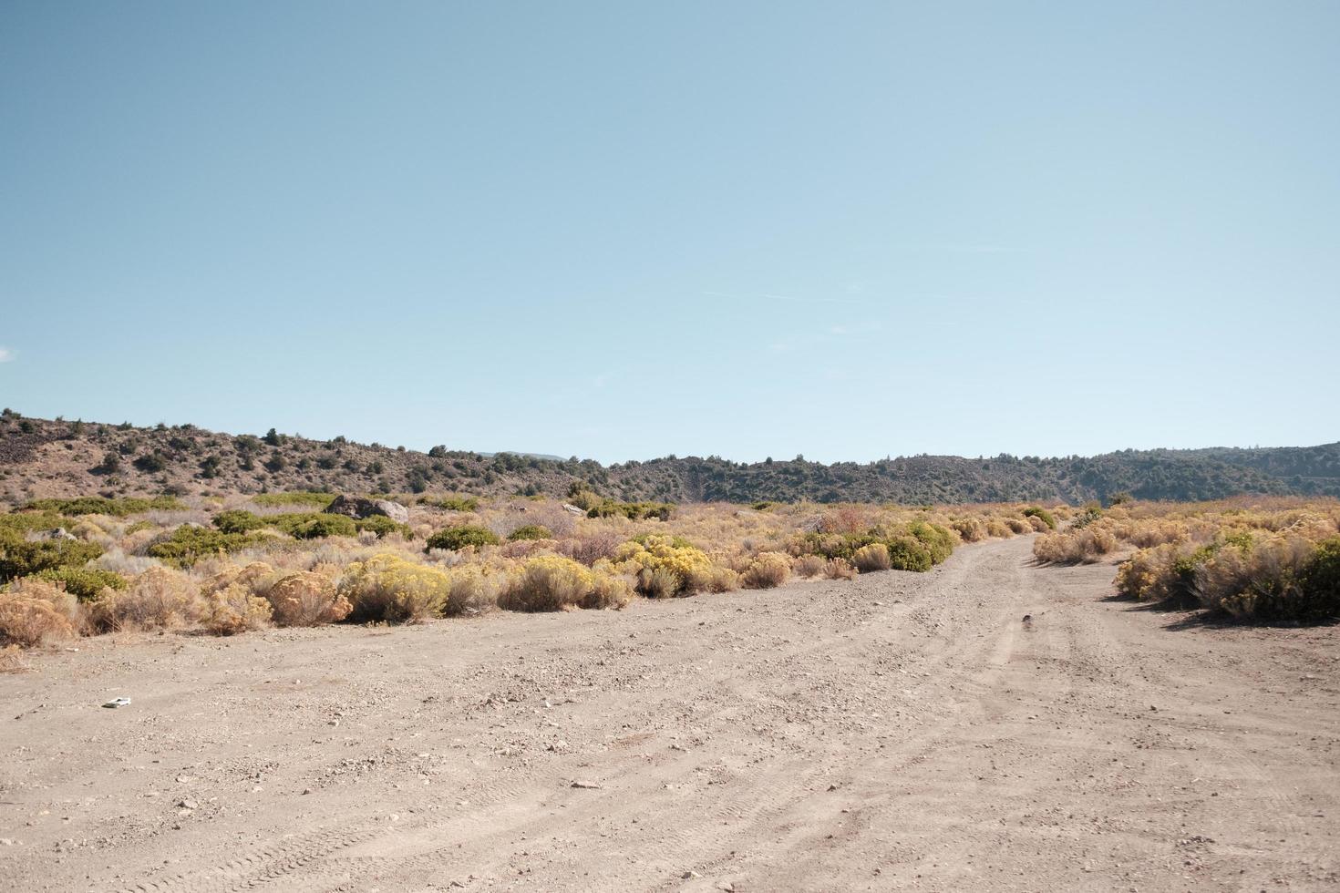 Dirt road in the dessert photo