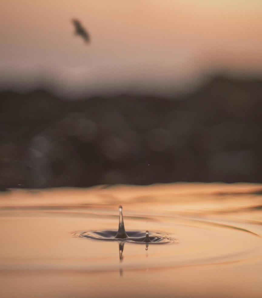 Water drop and sunset photo