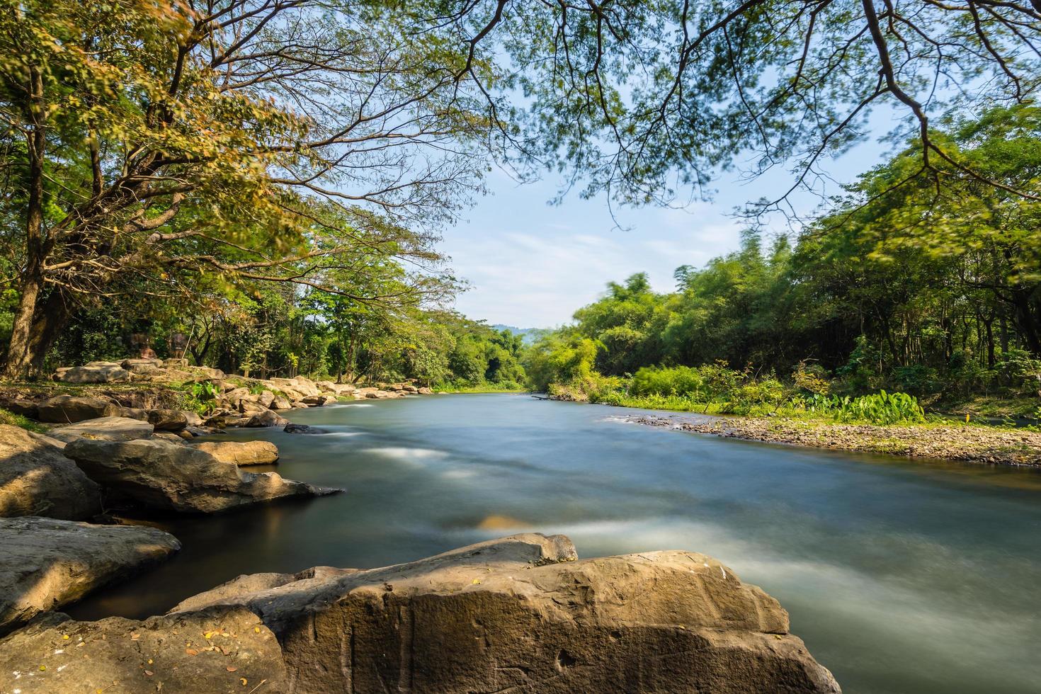 río en el bosque foto