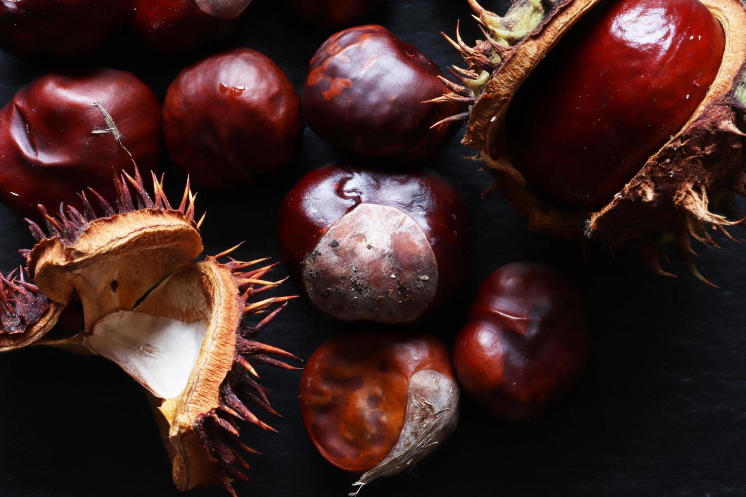 Spanish chestnuts or conkers photo