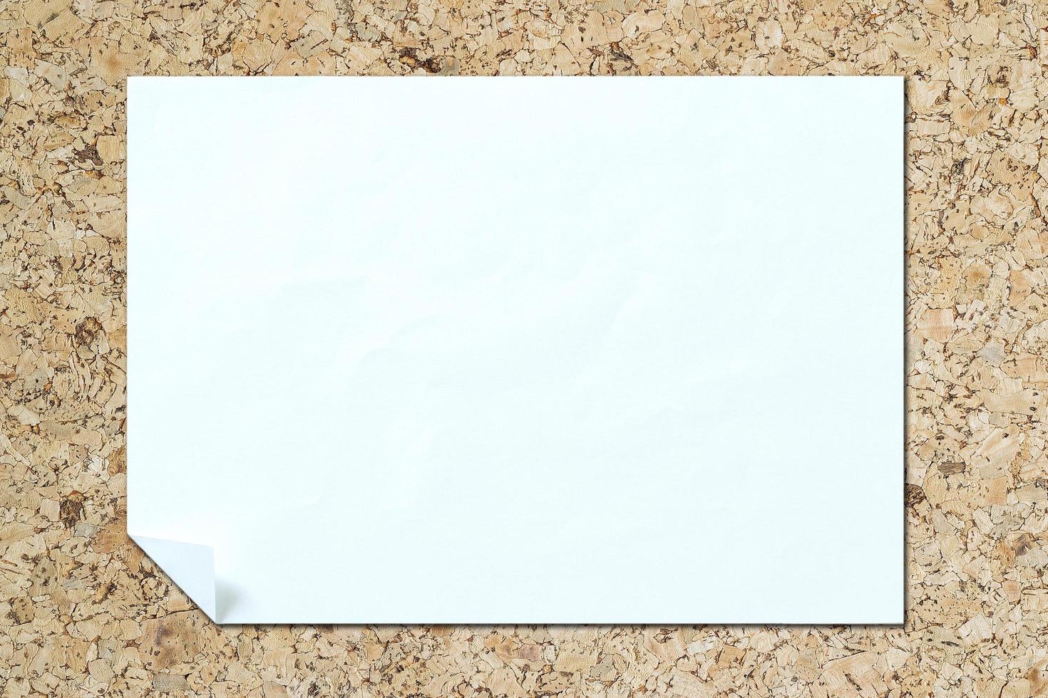 Isolated white paper background photo