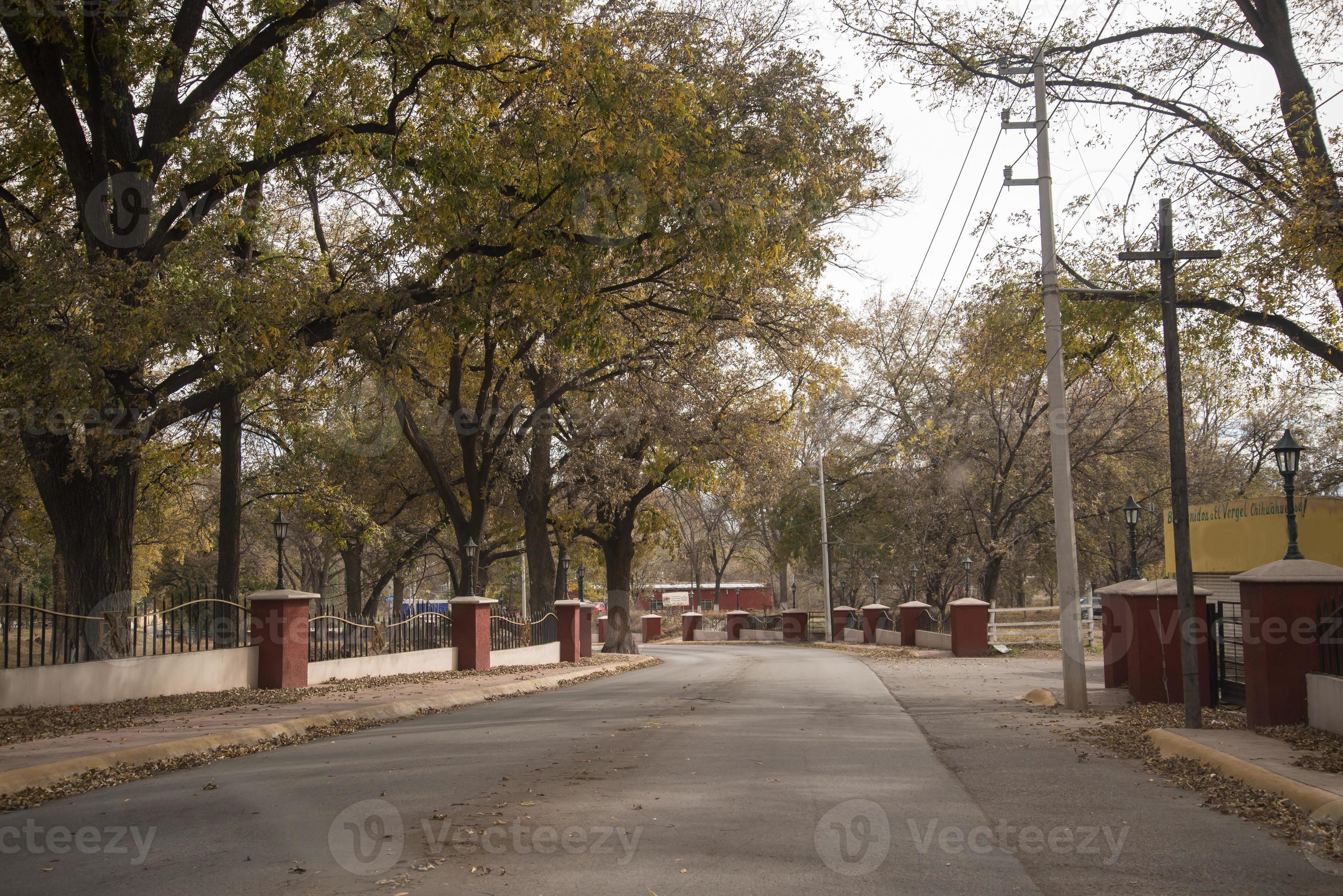 Valle de Allende, Chihuahua, Mexico 1425782