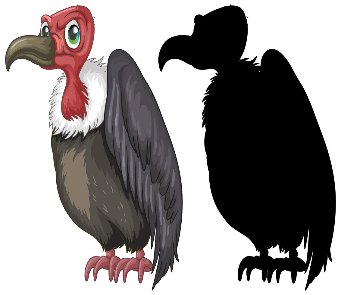 Vulture characters and its silhouette on white background vector