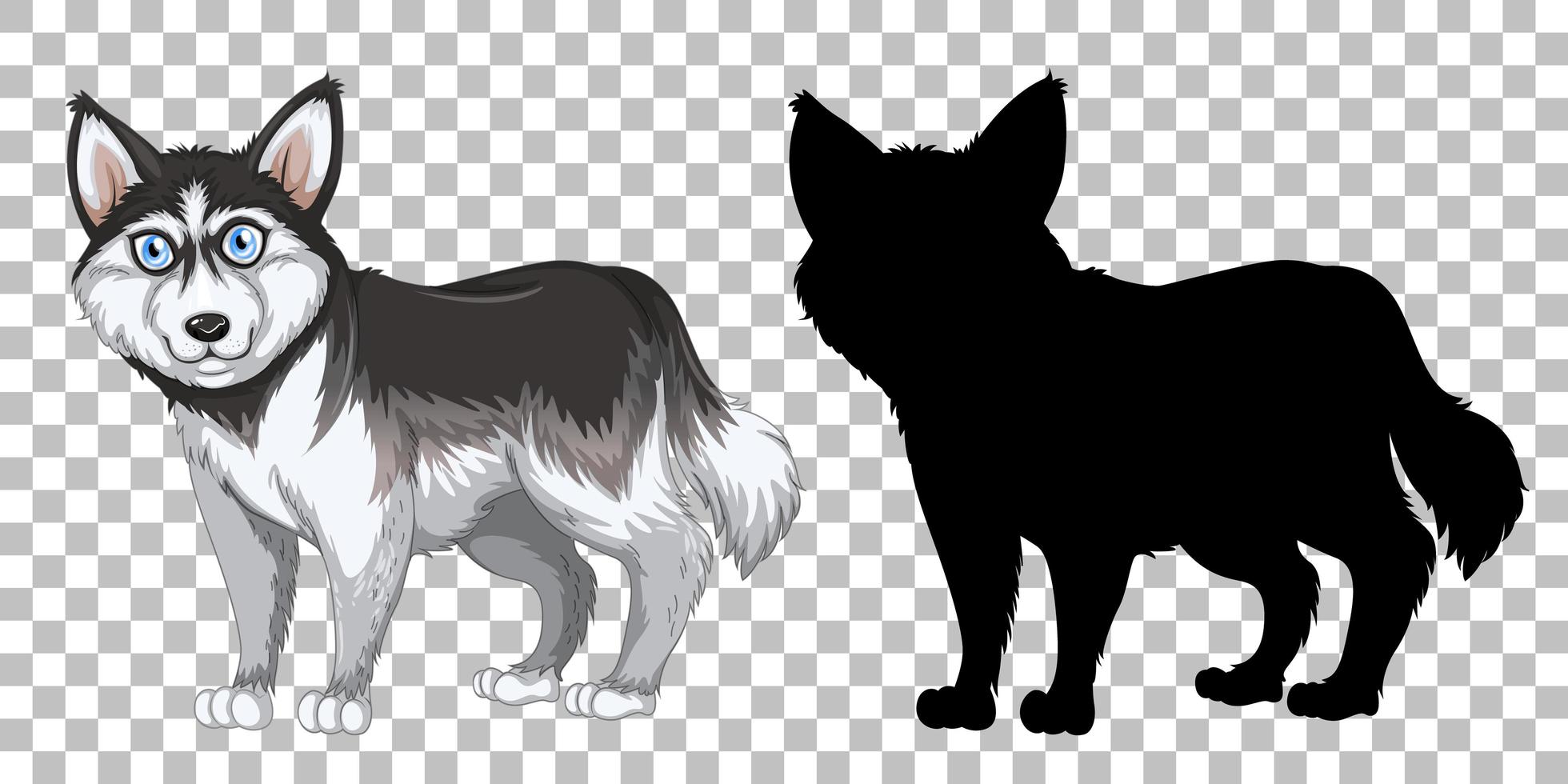 lindo husky siberiano y su silueta vector