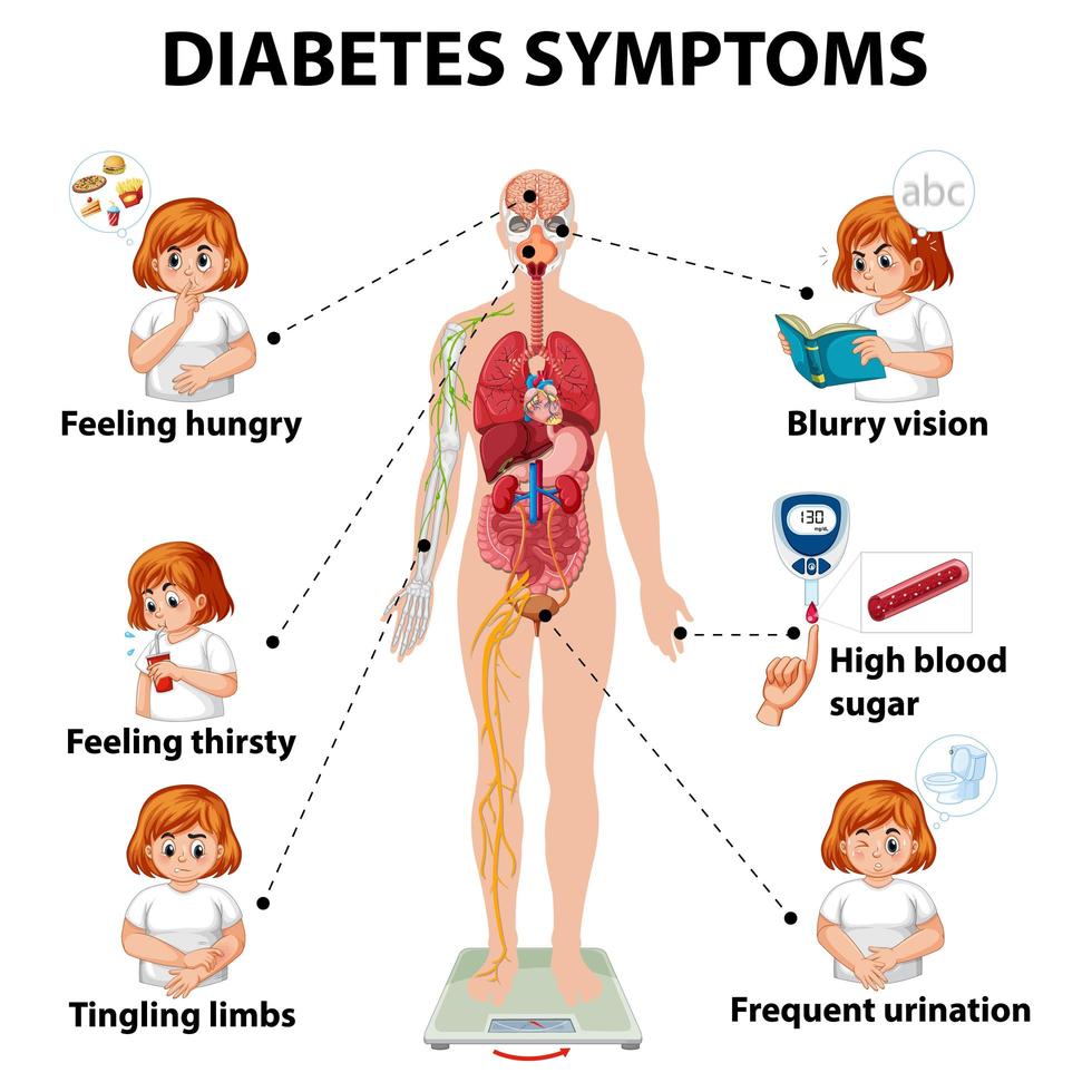 Diabetes symptoms infographic vector