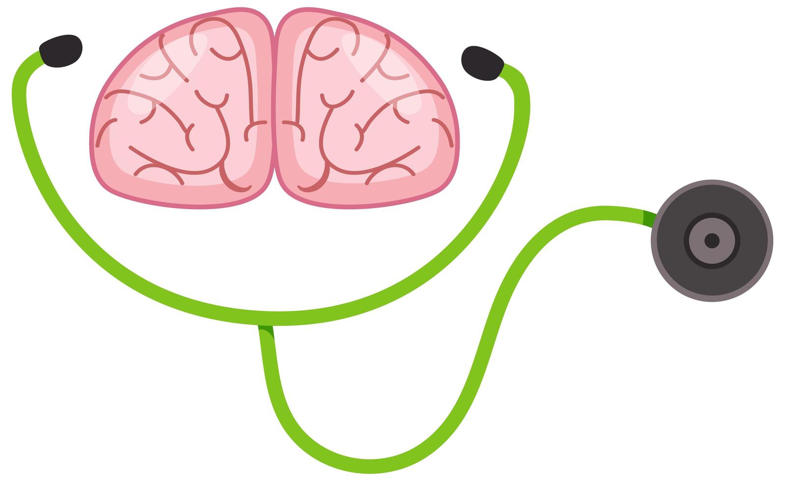 Stethoscope and human brain on white background vector