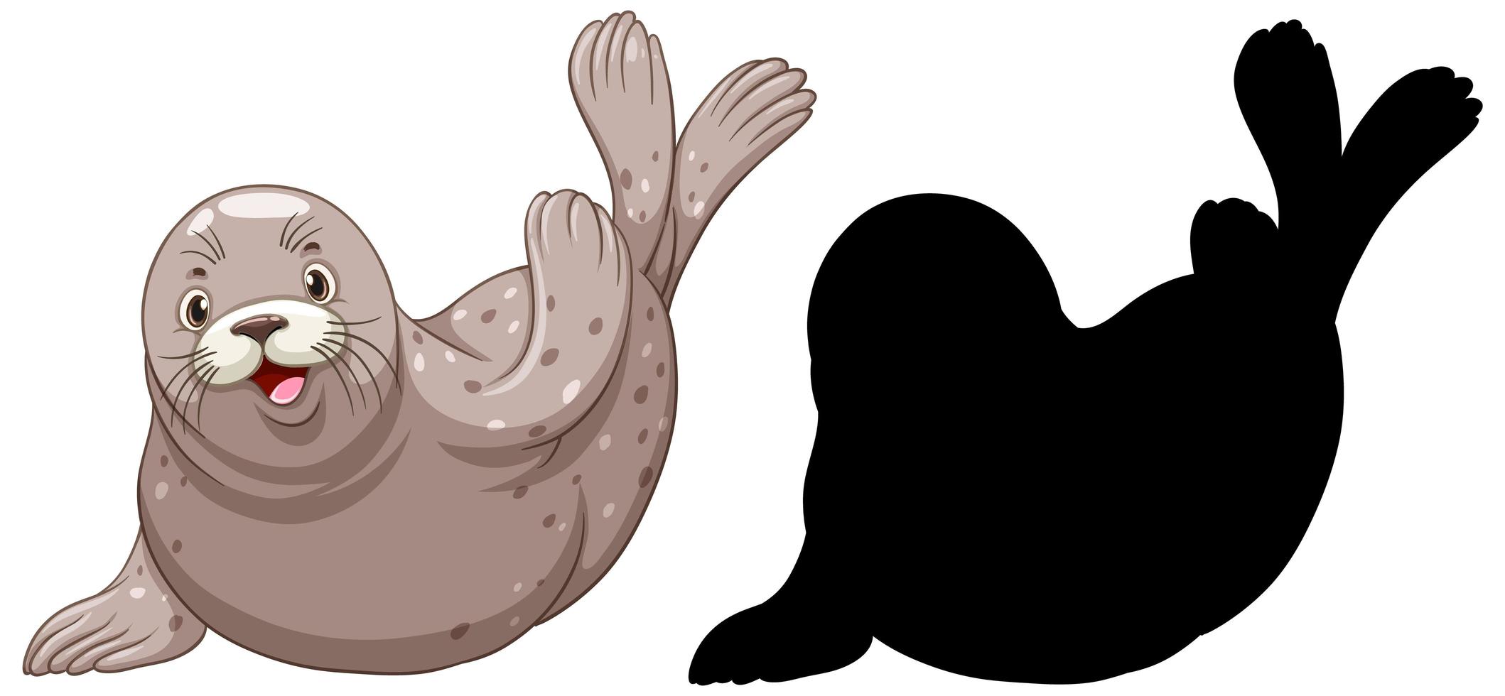 Set of seal character and its silhouette on white background vector