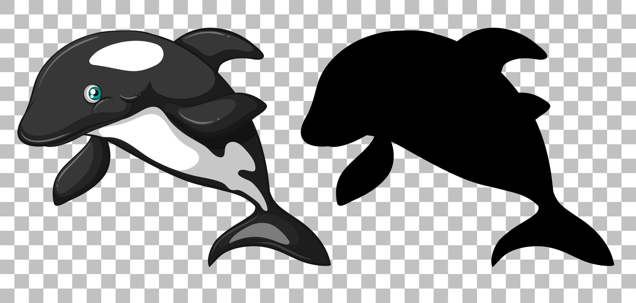 Cute orca whale and its silhouette vector