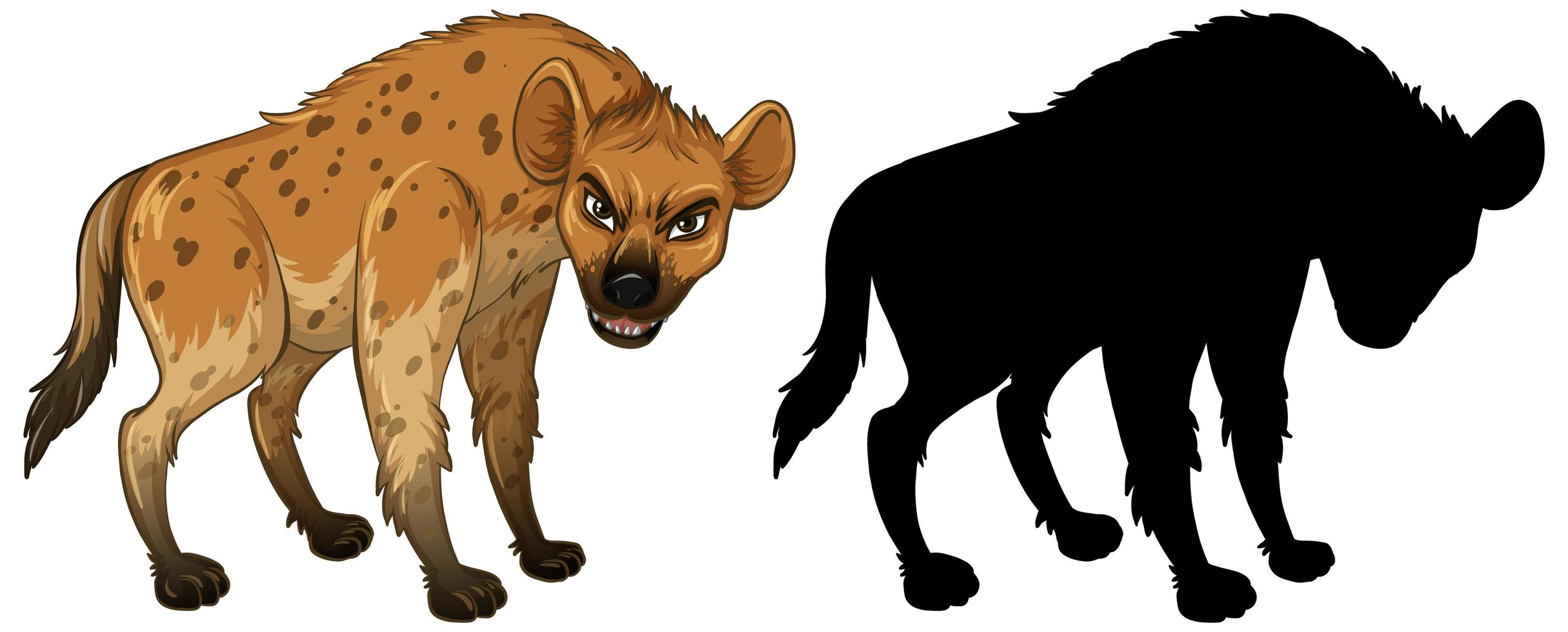 Hyena character and its silhouette on white background vector