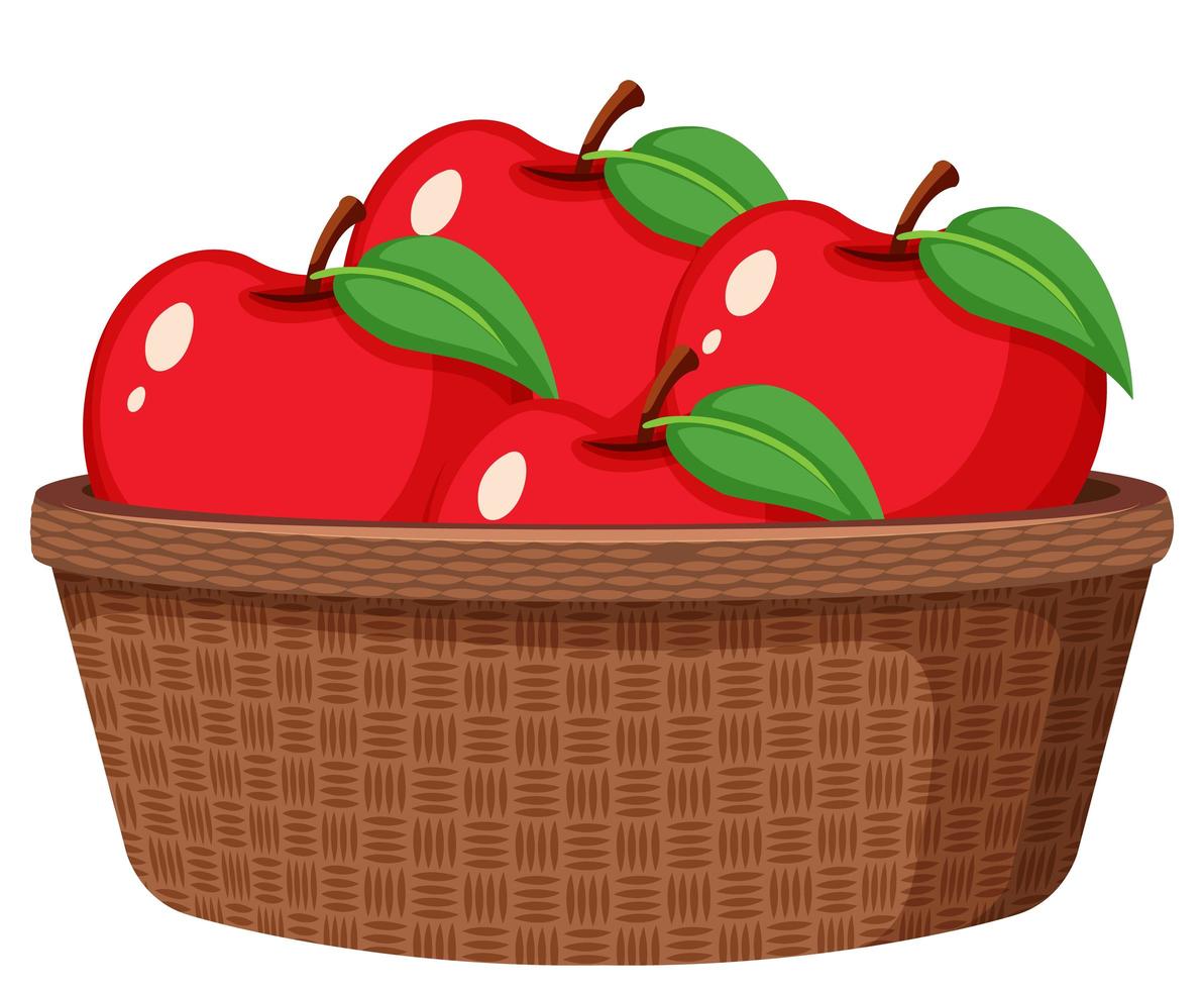 Red apples in the basket isolated vector