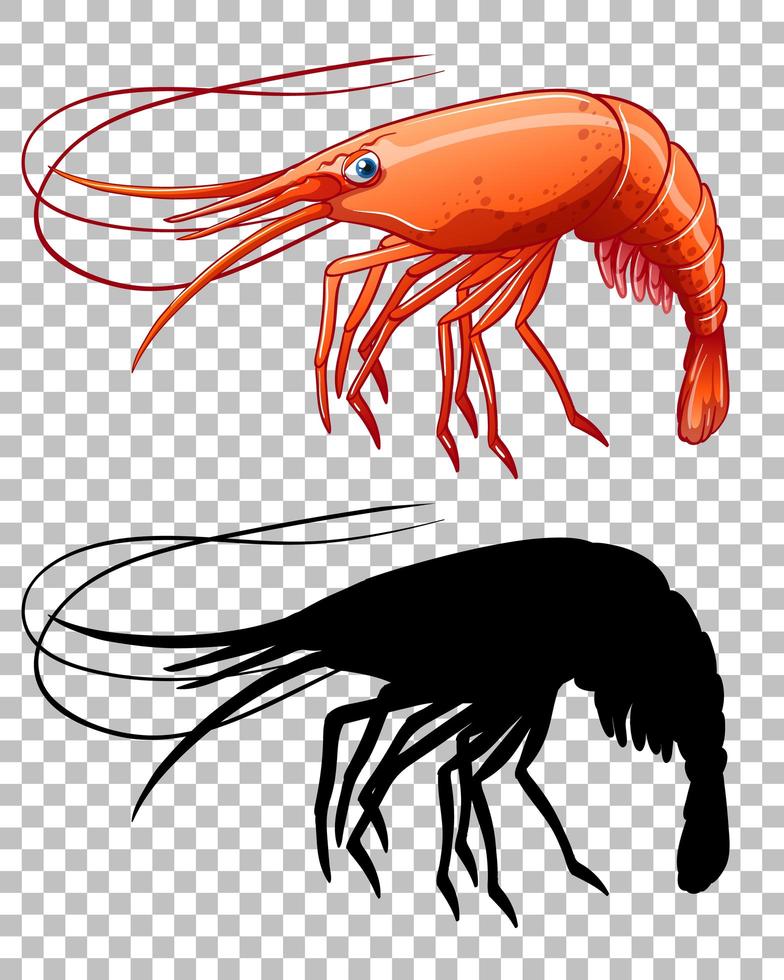 Red shrimp and its silhouette vector