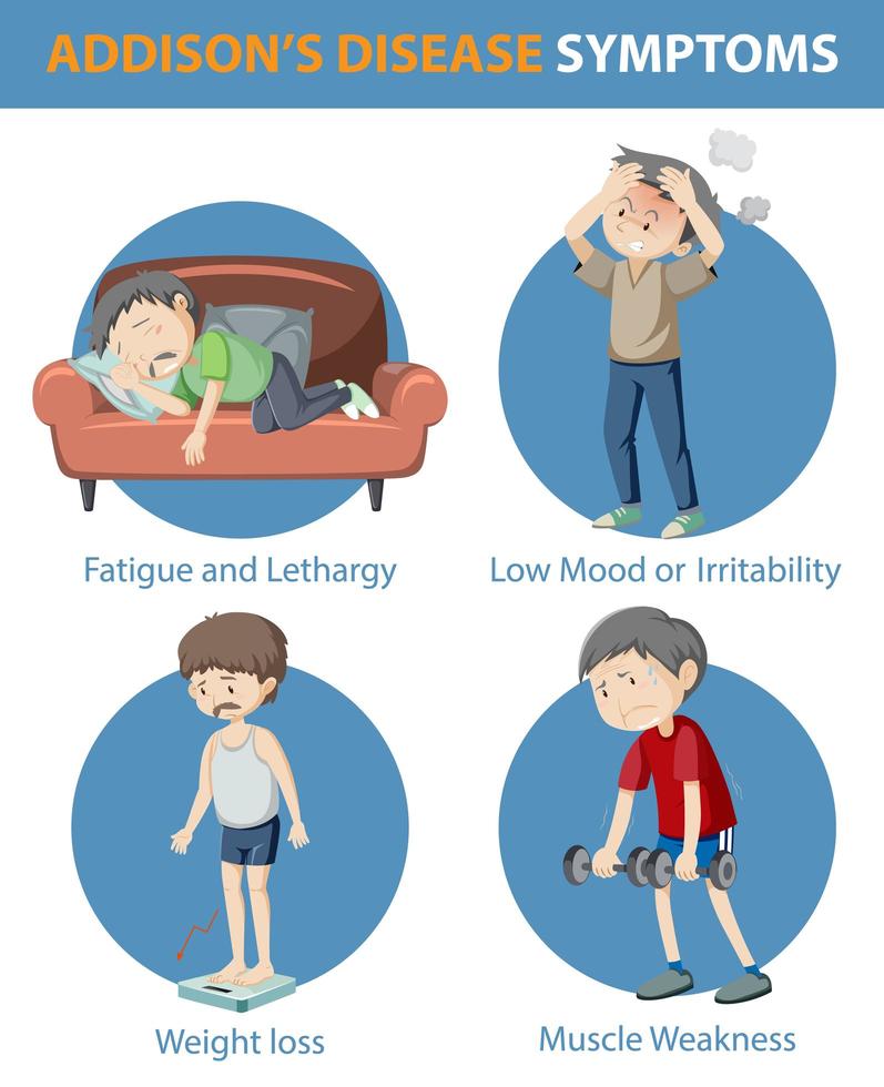 Infografía médica de los síntomas de la enfermedad de Addison. vector