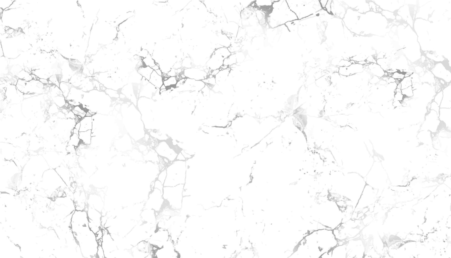 Gray and white marble texture vector