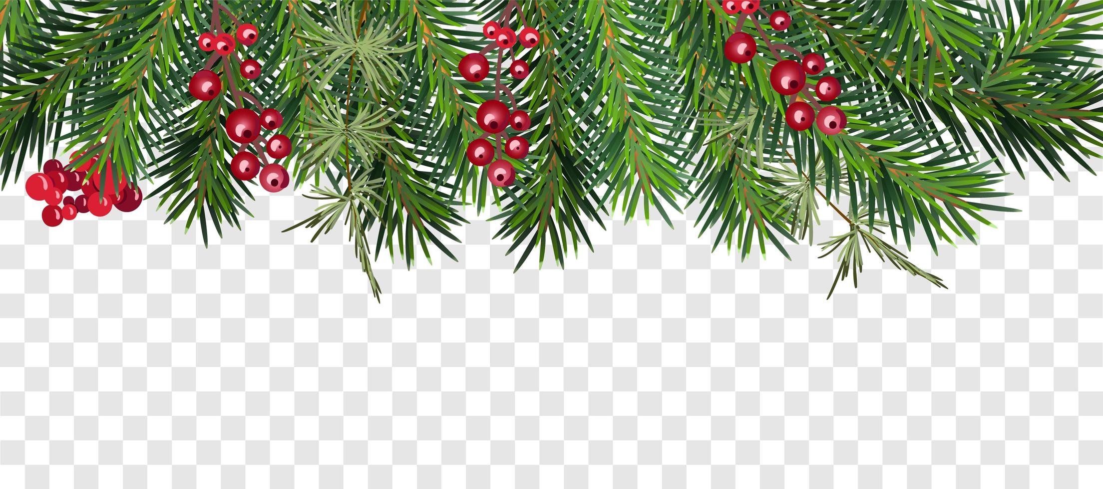 Christmas tree garland and berries top frame vector