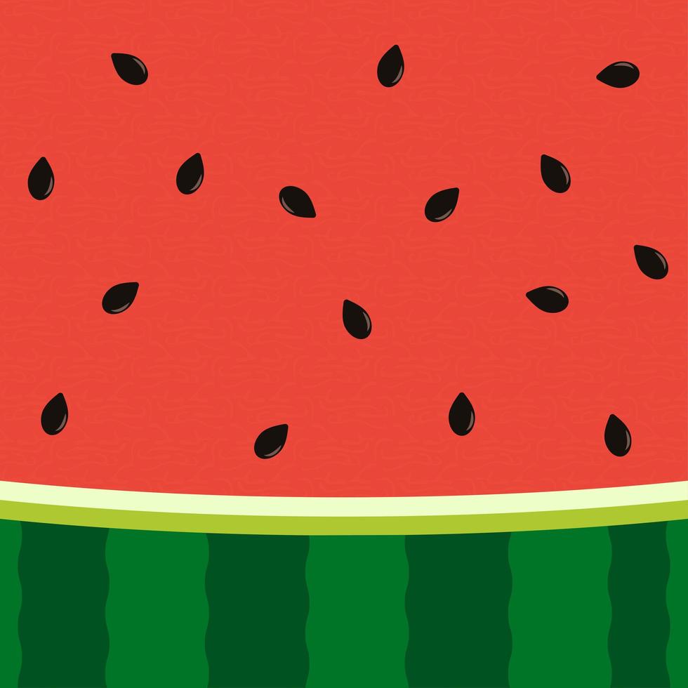 Watermelon slice background with seed and skin texture vector