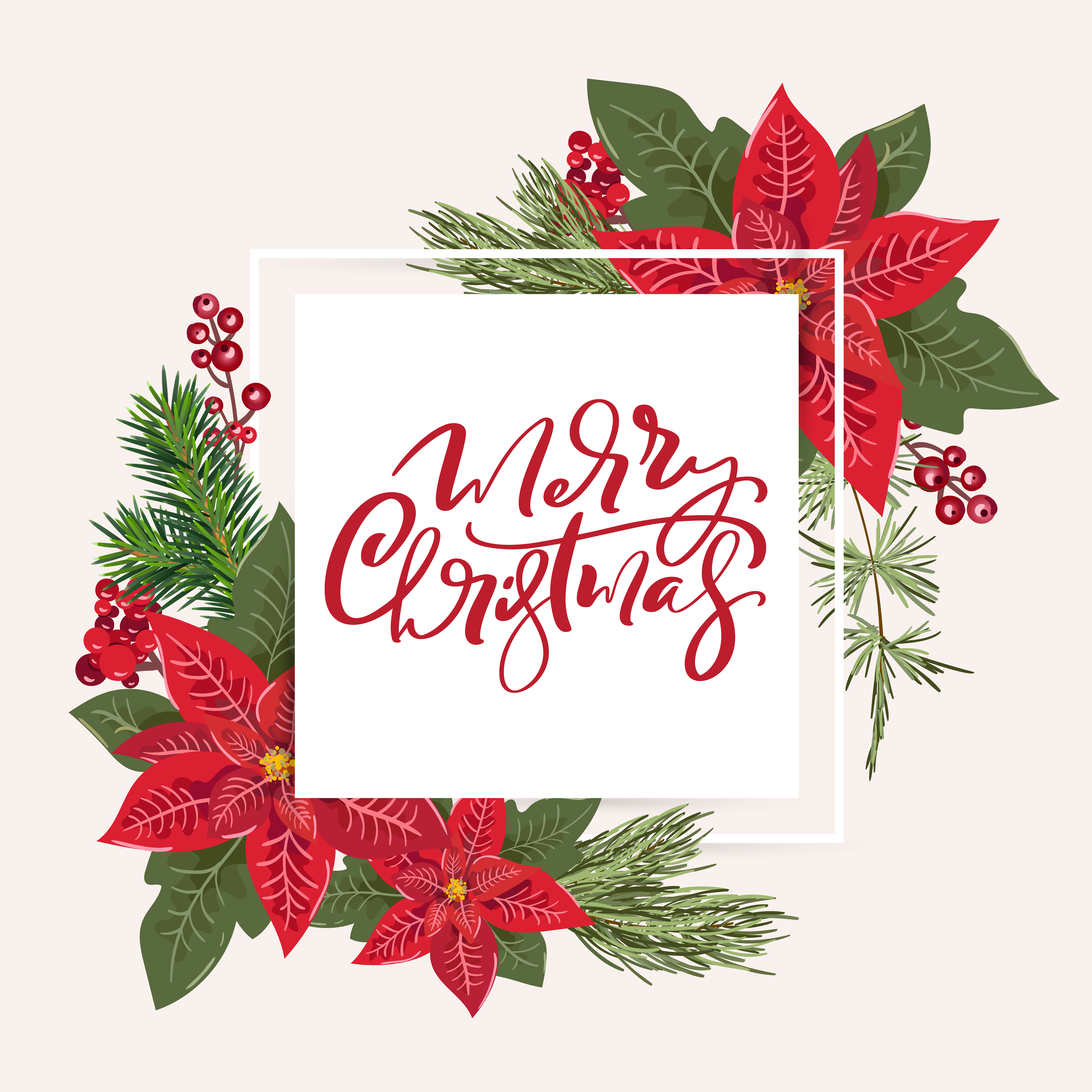 Poinsettia Merry Christmas Wishes 2022 Merry Christmas Greeting Card With Floral Poinsettia Decoration 1427169  Vector Art At Vecteezy