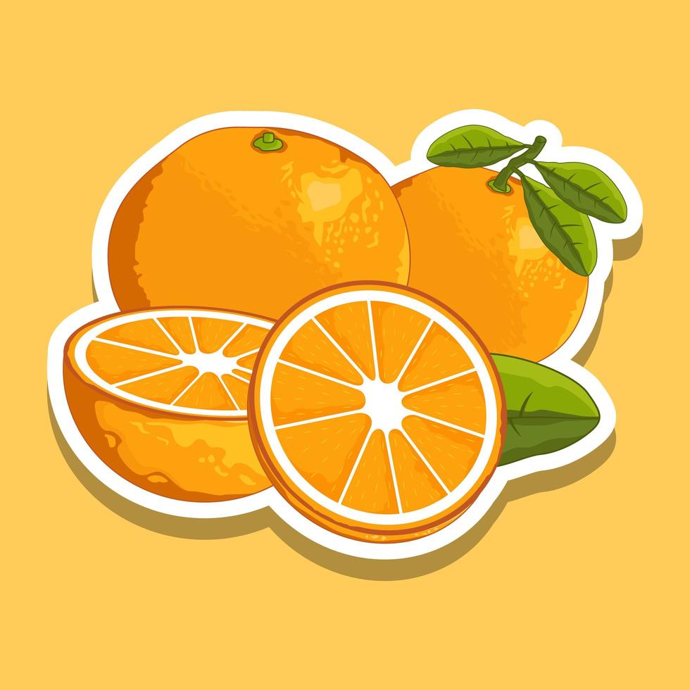 conjunto de frutas frescas de naranja de dibujos animados vector