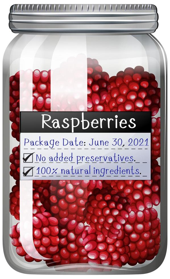 Raspberries in glass jar vector