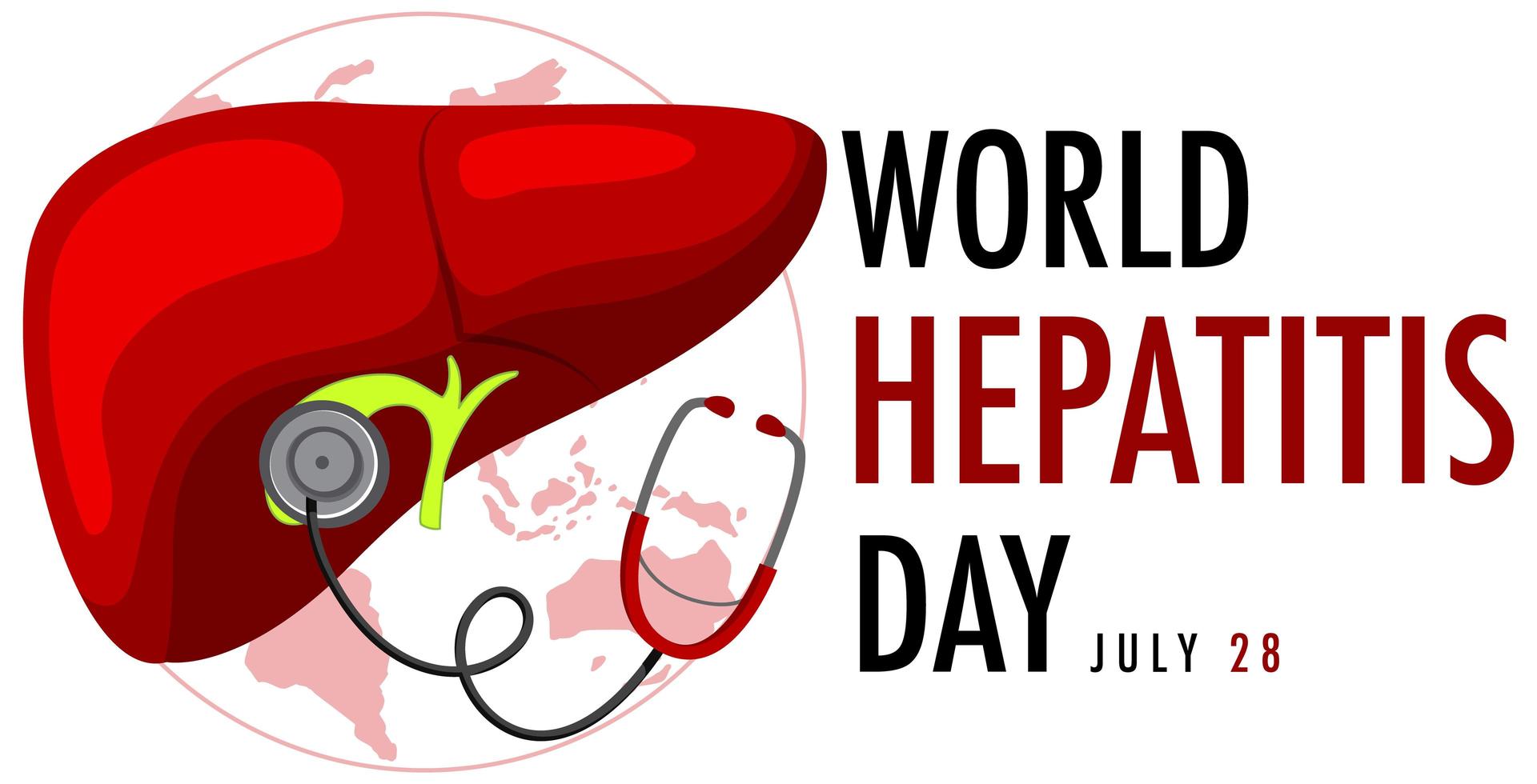 banner del día mundial de la hepatitis con hígado y estetoscopio vector