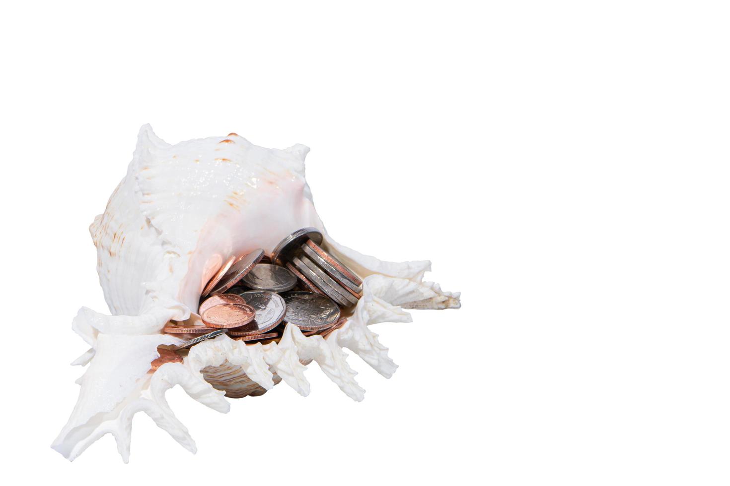 Isolated conch shell with coins photo
