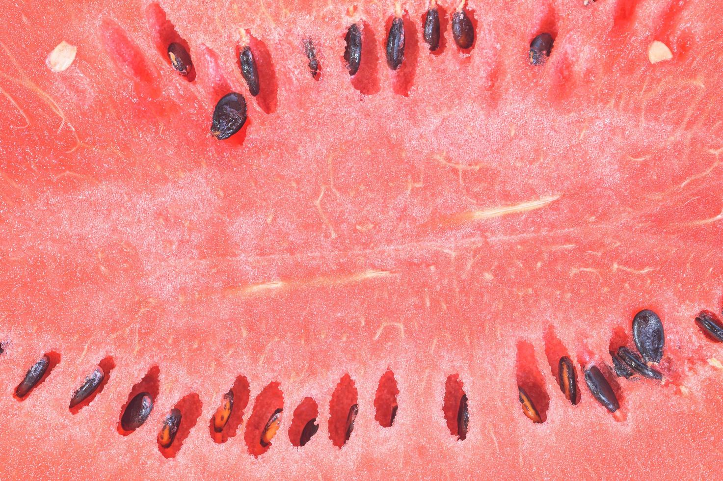 Close-up photo of a watermelon