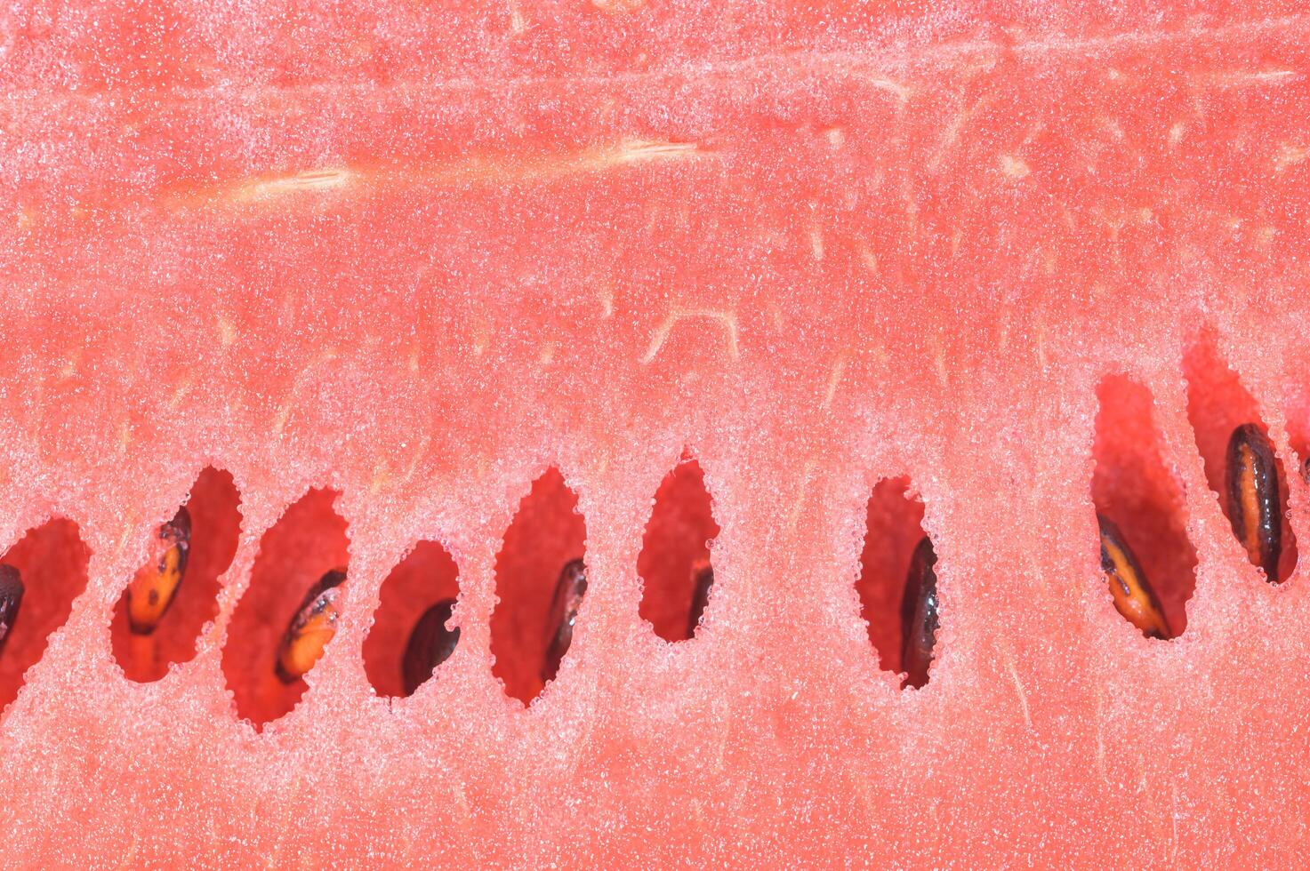 Close-up photo of a watermelon