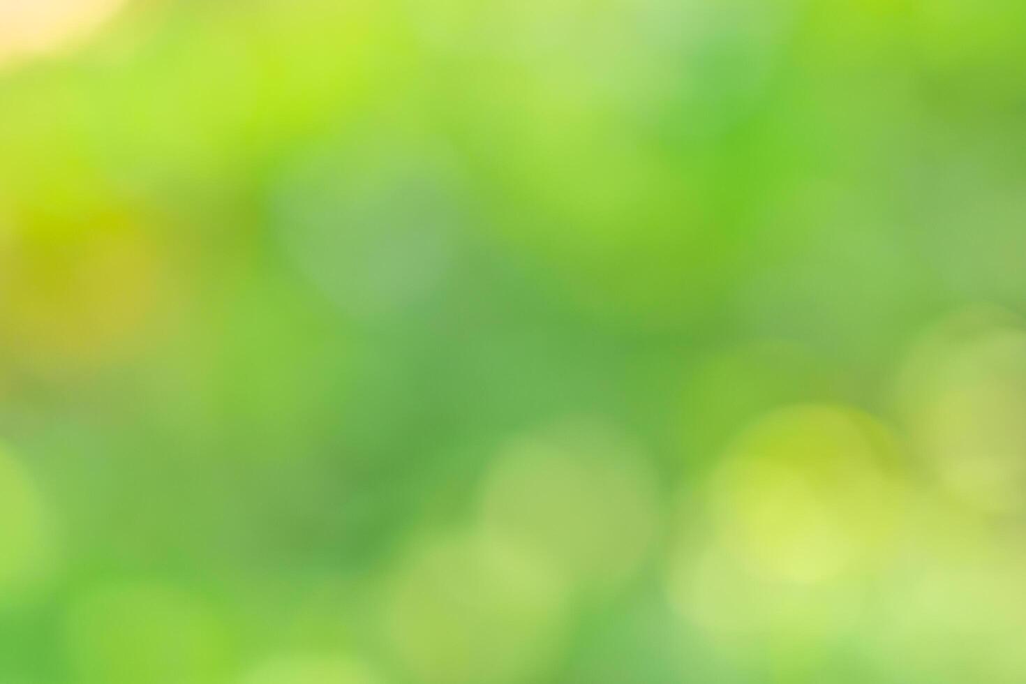 Blurred natural bokeh background photo