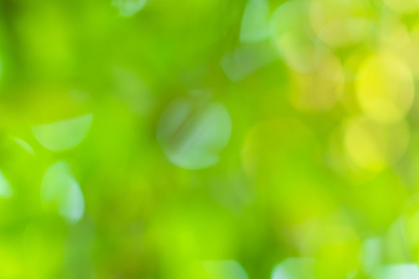 Blurred natural bokeh background photo