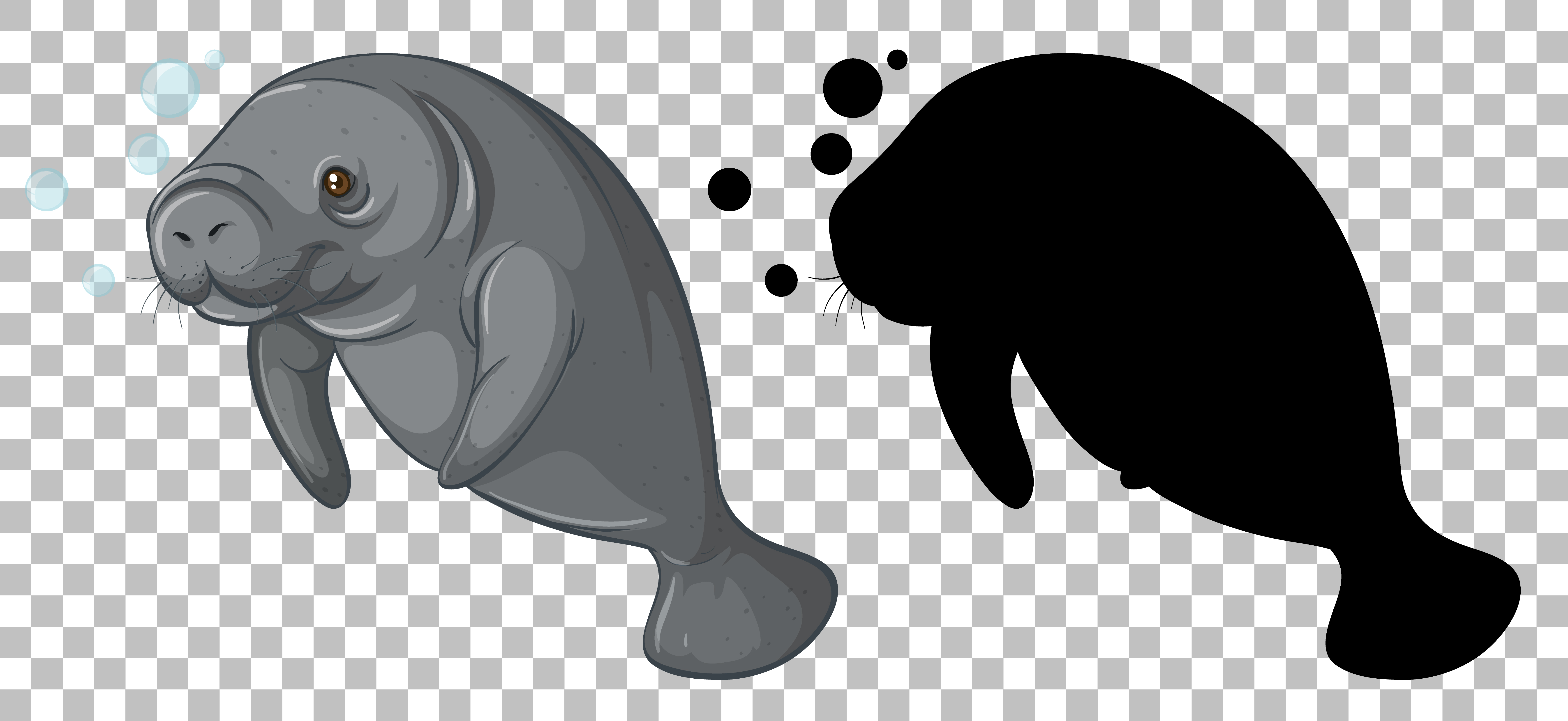 Manatee Vector Art, Icons, and Graphics for Free Download
