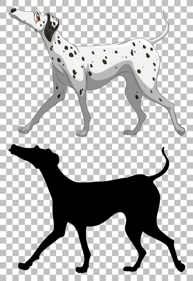 Dalmatian dog and its silhouette vector