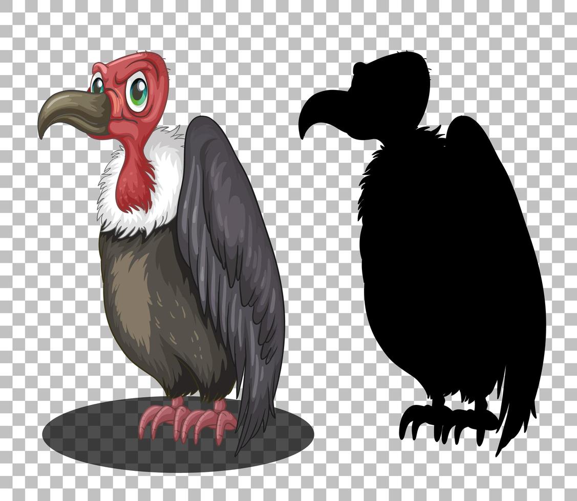 Griffon vulture cartoon character with its silhouette vector