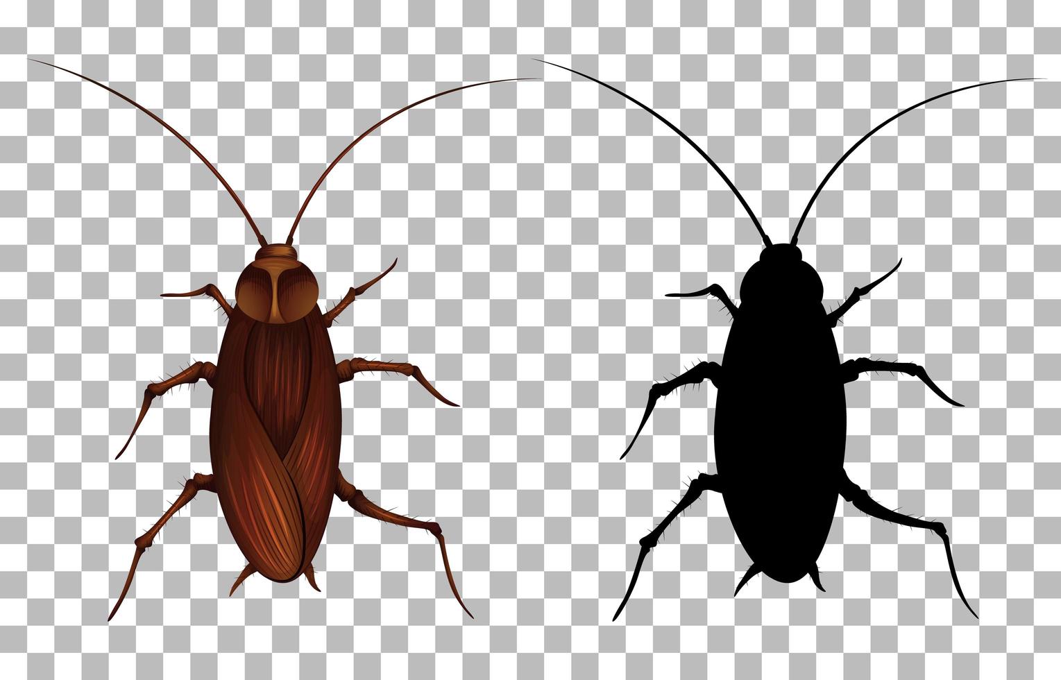 cucaracha con su silueta vector