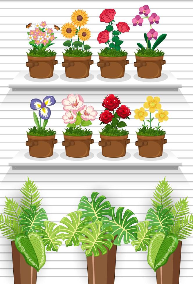 Plants on shelves vector