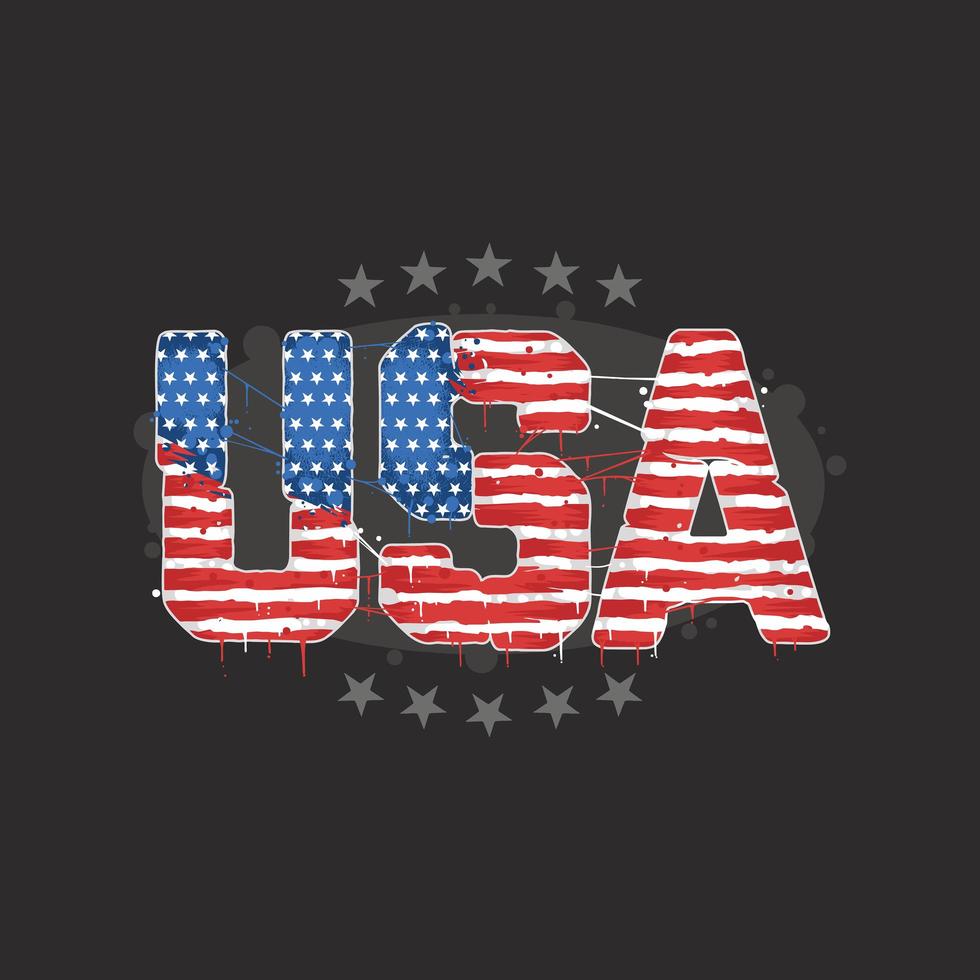 USA American flag textured text vector