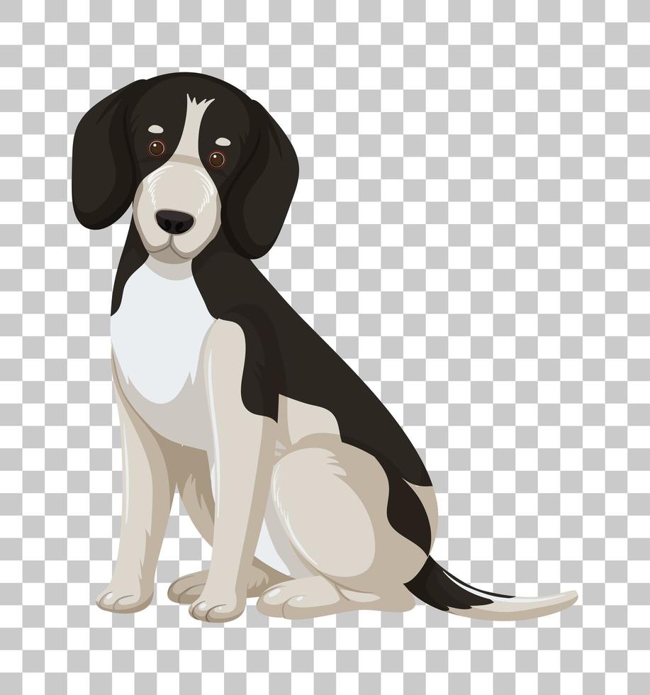 Black Beagle in sitting position vector